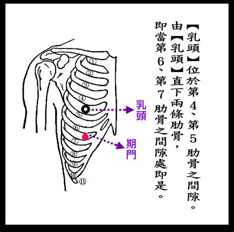 旗門穴|期門穴位置 